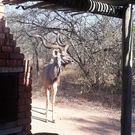 Eagle'S Crest Vila Marloth Park Exterior foto