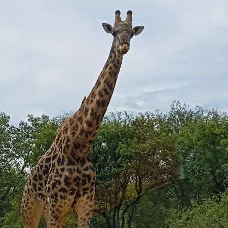 Eagle'S Crest Vila Marloth Park Exterior foto