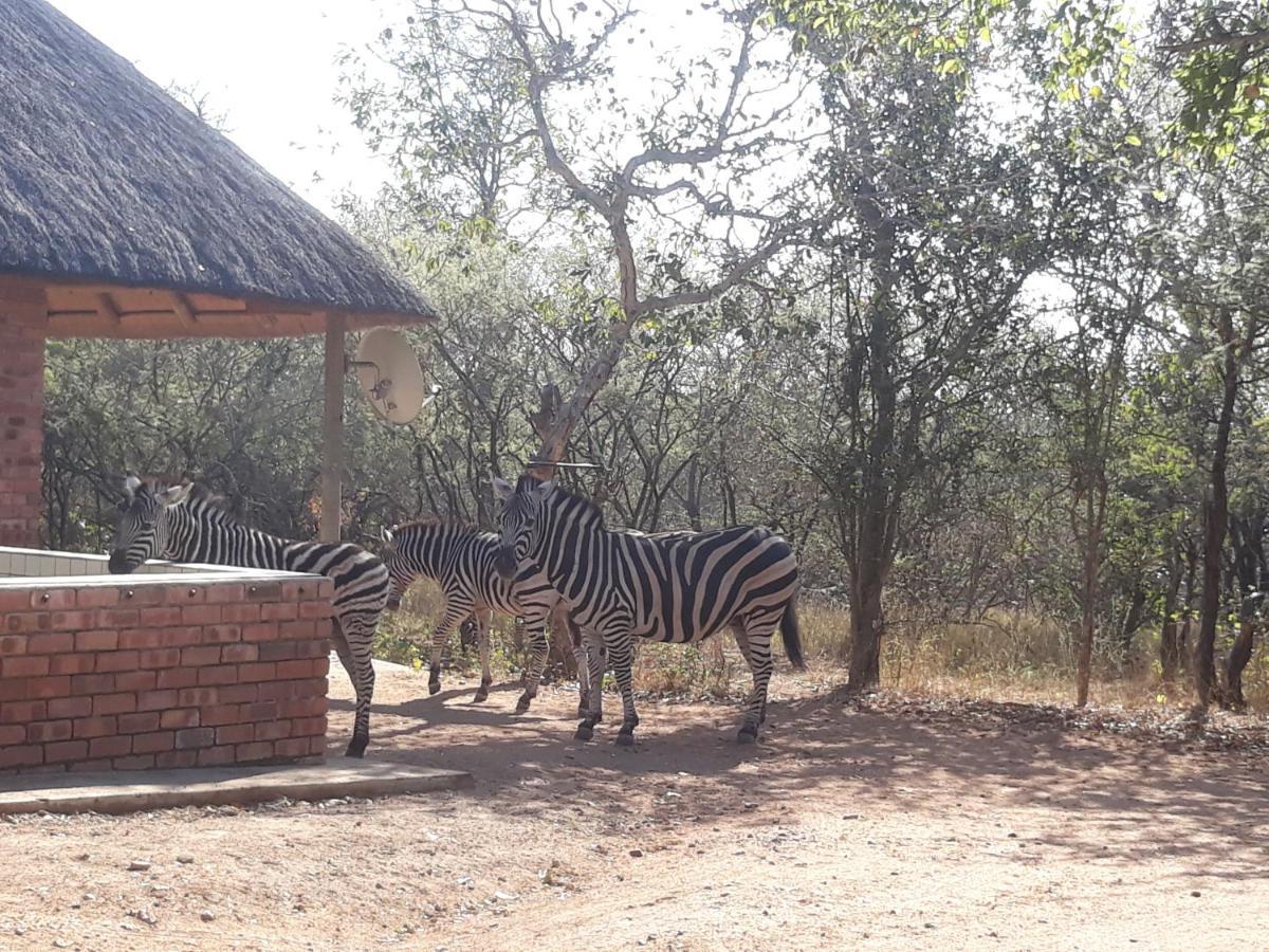 Eagle'S Crest Vila Marloth Park Exterior foto