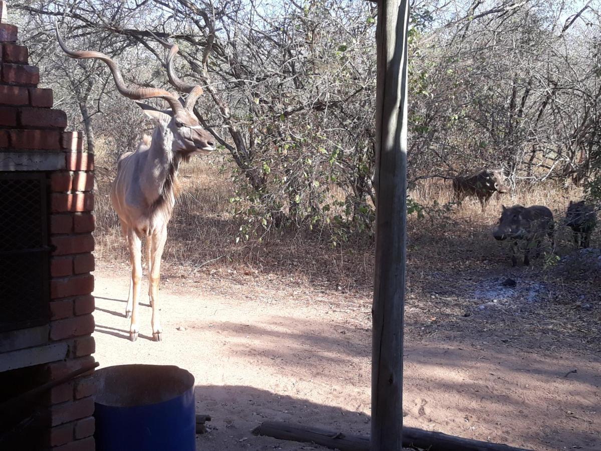 Eagle'S Crest Vila Marloth Park Exterior foto