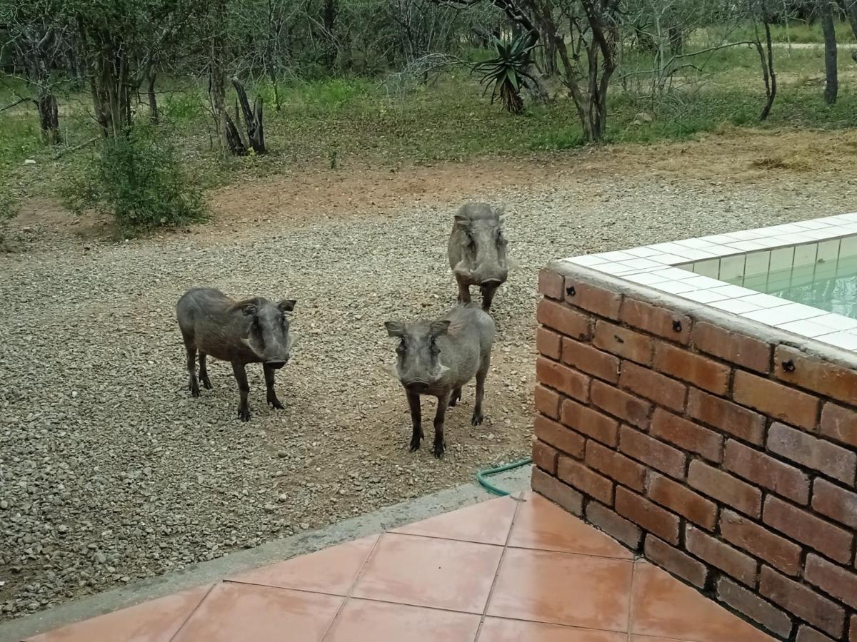 Eagle'S Crest Vila Marloth Park Exterior foto