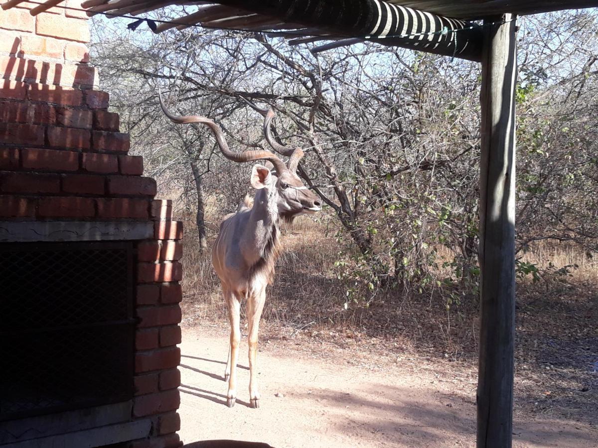 Eagle'S Crest Vila Marloth Park Exterior foto