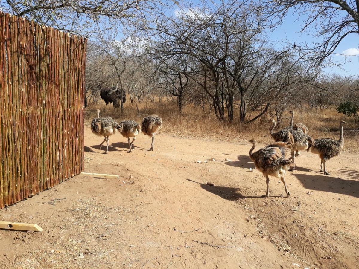 Eagle'S Crest Vila Marloth Park Exterior foto