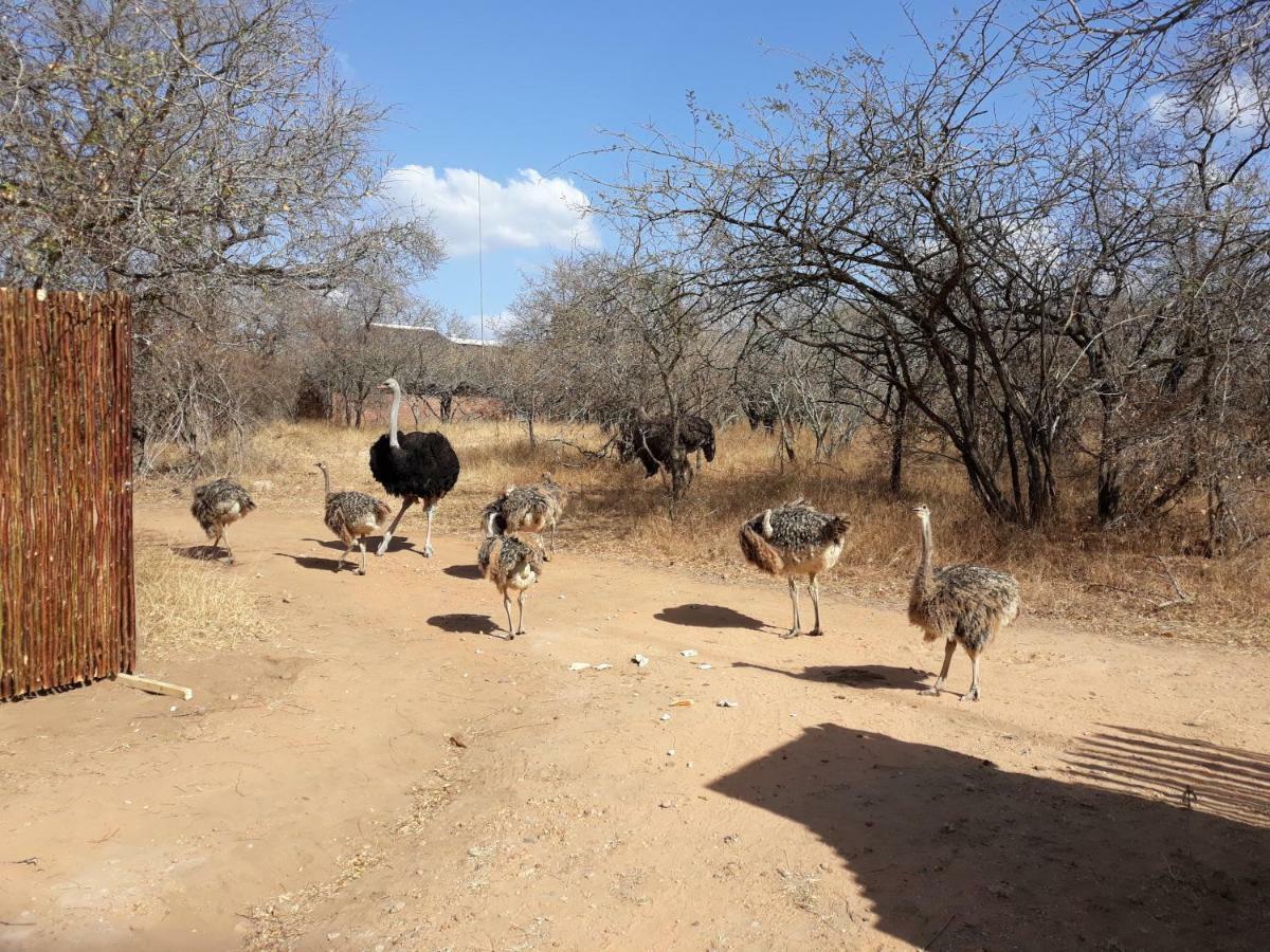 Eagle'S Crest Vila Marloth Park Exterior foto